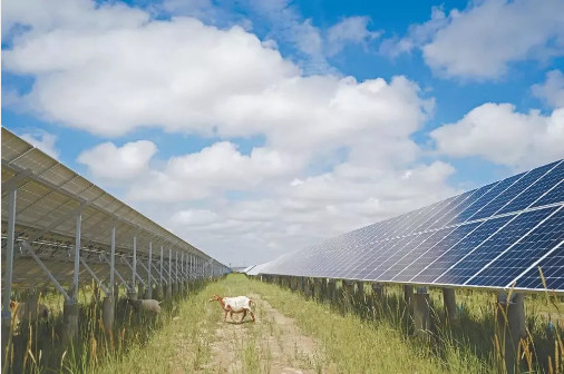 湖北PG电子绿色能源有限公司